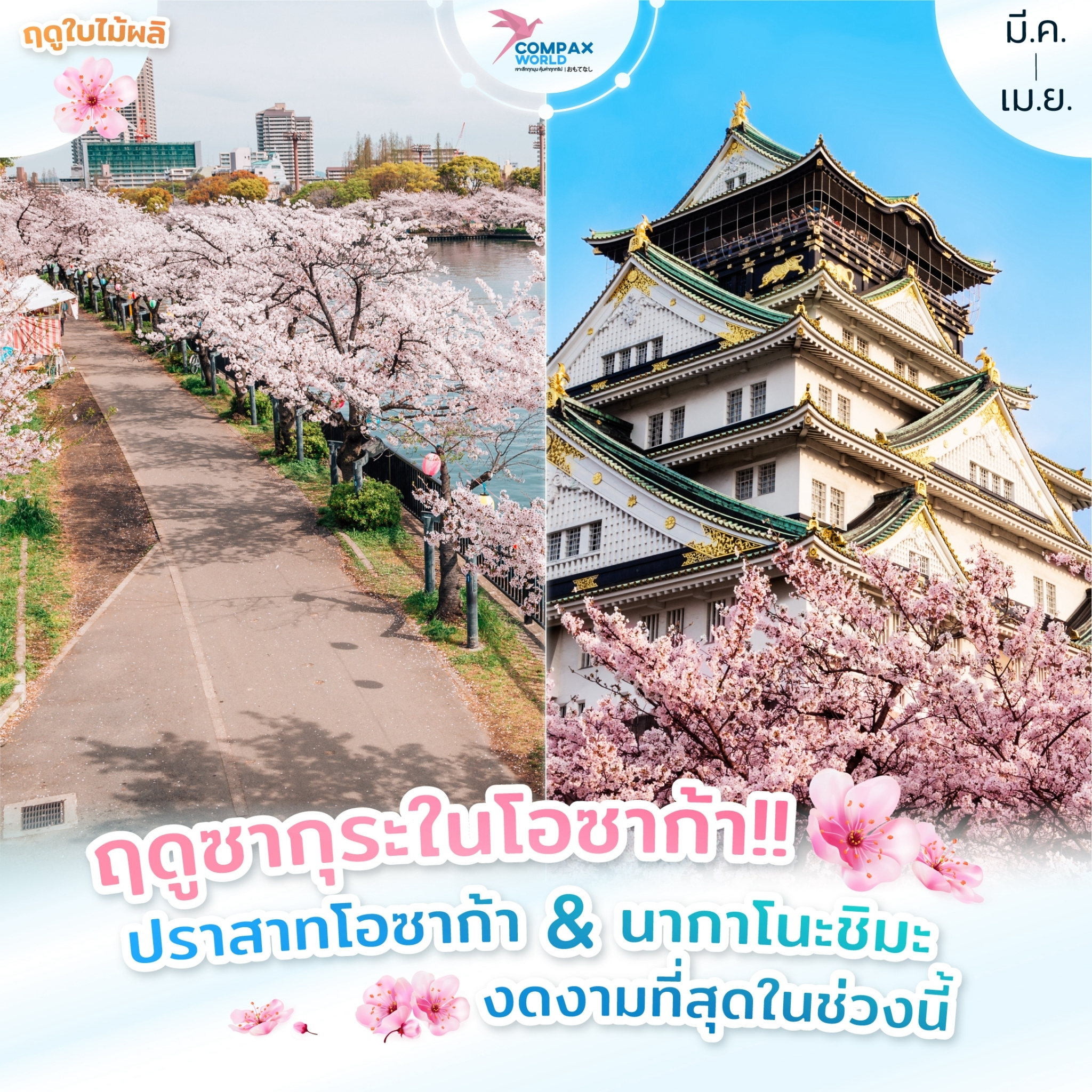 ทัวร์ญี่ปุ่น เที่ยวญี่ปุ่น โปรแกรมทัวร์ญี่ปุ่น